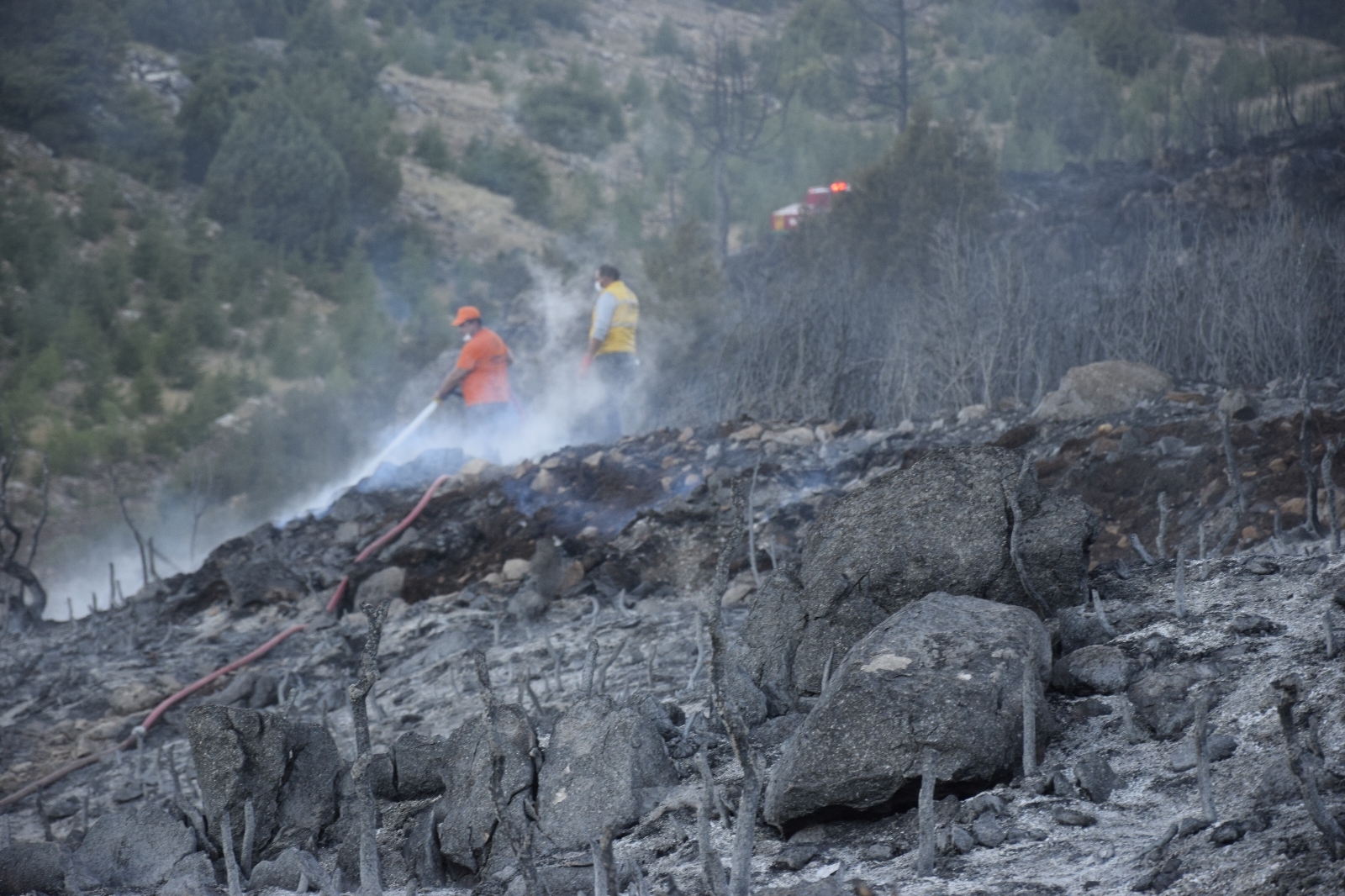 Bucak’taki orman yangını kontrol altına alındı