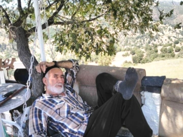 Ceviz toplarken kalp krizi geçiren yaşlı adam hayatını kaybetti