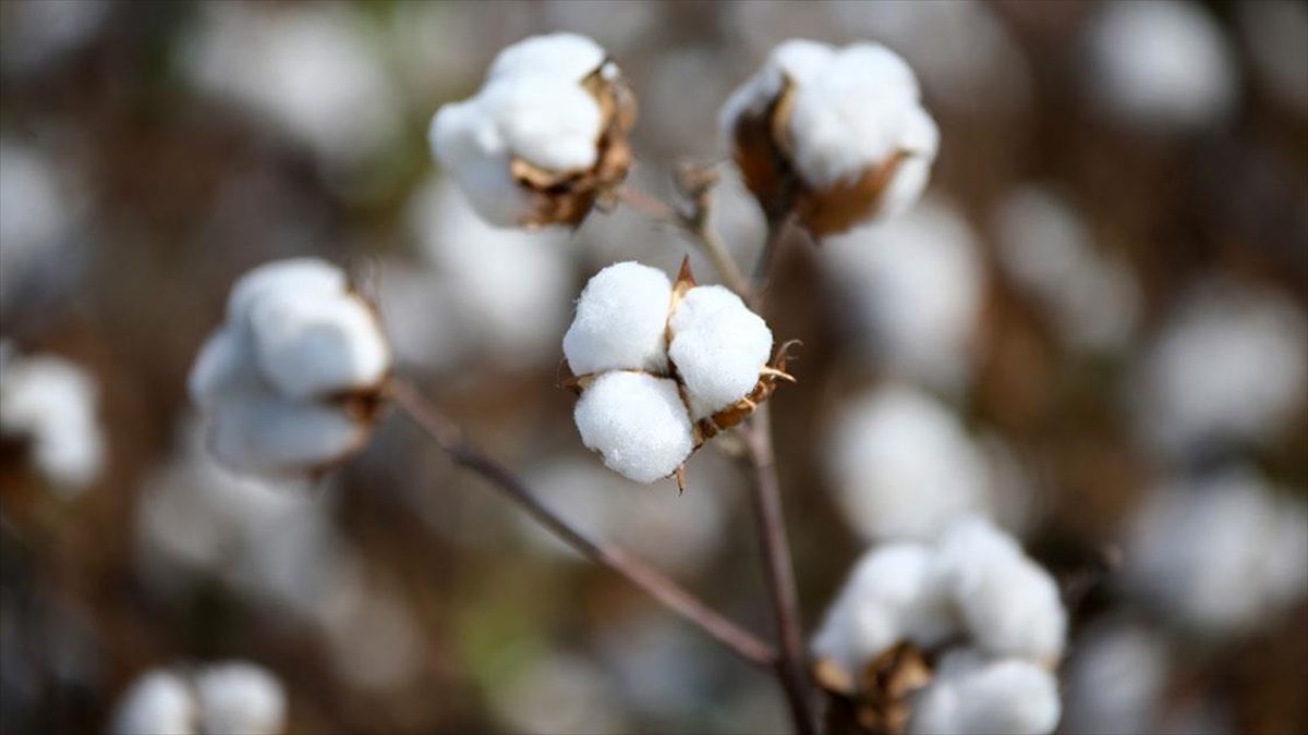 Emtia Piyasasında Dalga Boyu Yükseldi