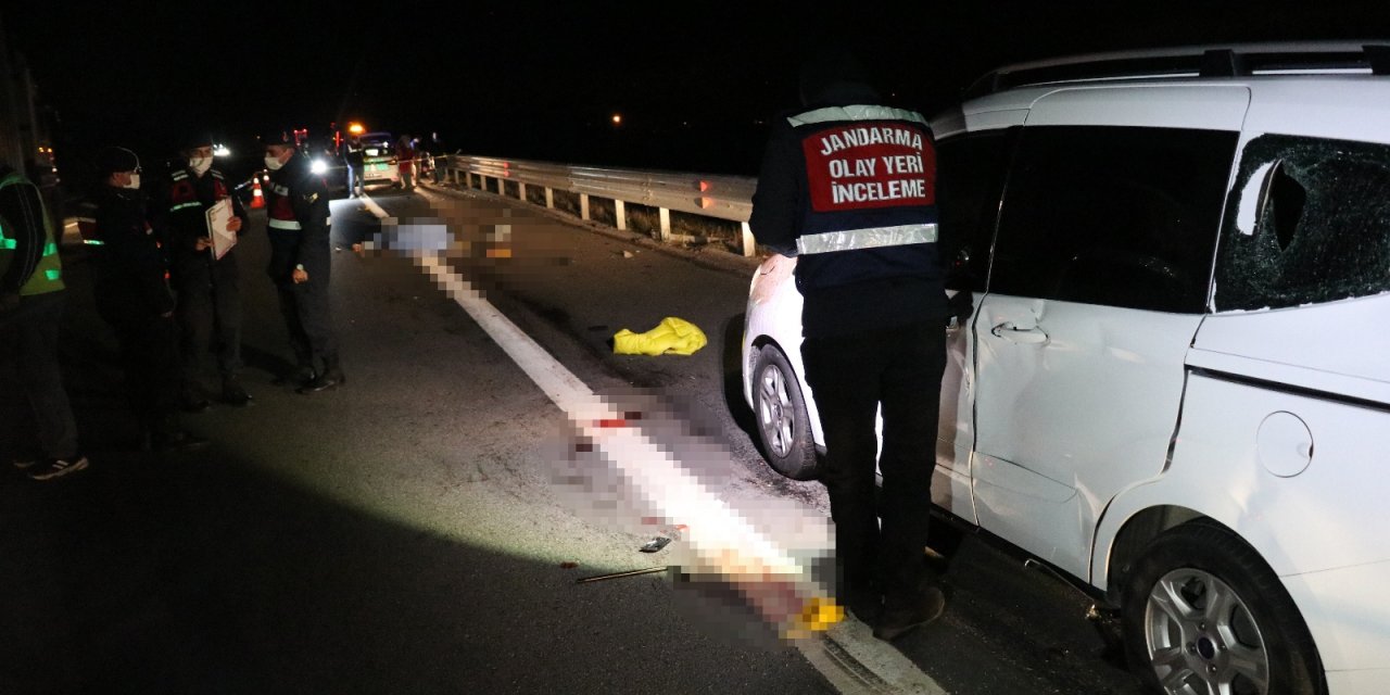 TEM’de patlayan lastiği değiştirirken kamyonetin çarptığı kardeşler öldü