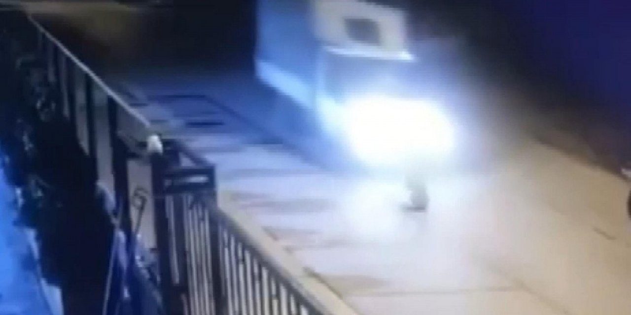 İstanbul'da kamyonet yol ortasındaki köpeği ezdi