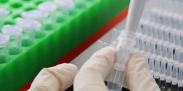 Dsö, Kovid-19'un Kökenine İlişkin Araştırmalarına Tekrar Başlayacak