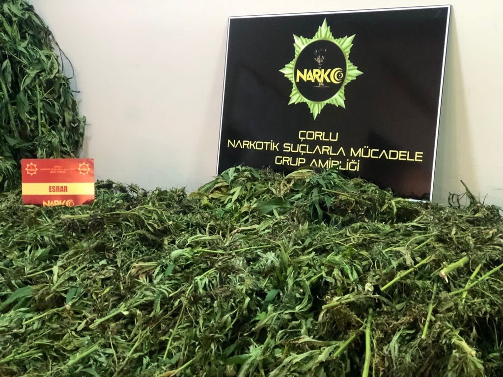 Tekirdağ’da 19 kilo esrar ve kenevir bitkisi ele geçirildi: 2 gözaltı
