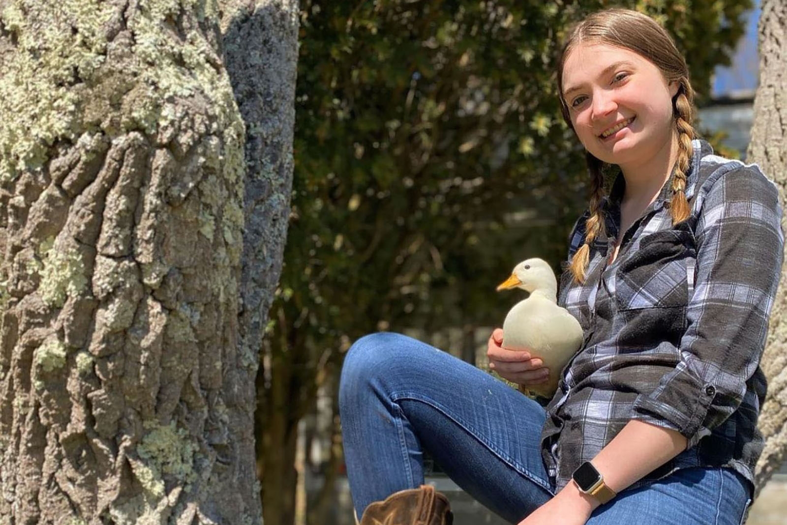 Fenomen ördek ayda 4 bin 500 dolar kazanıyor