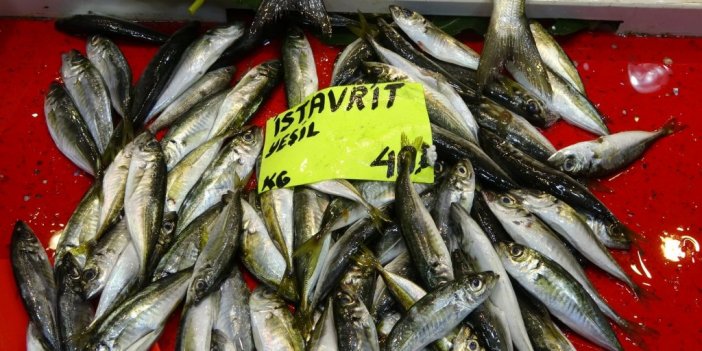 Çanakkale’de lüfer bollaştı, fiyatı 100 liraya düştü