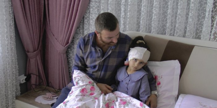 Yine Köpek Vahşeti: Çocuğun kulağı, koptu, 300 dikiş atıldı