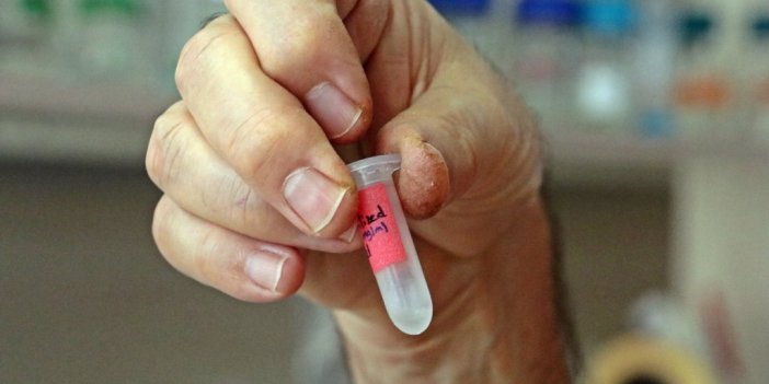 ’koktely Aşı’ İnsan Deneyine Hazır Hale Geldi