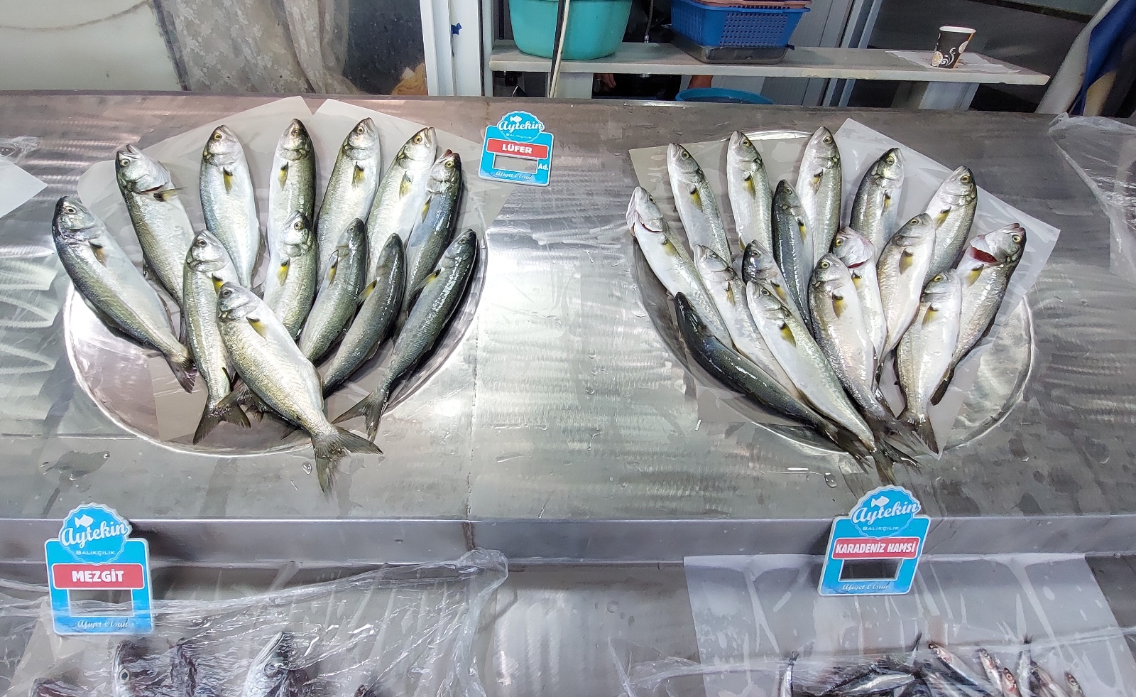 Denizin paşası Lüfer tahtını geri aldı: 70’ten 50 liraya indi