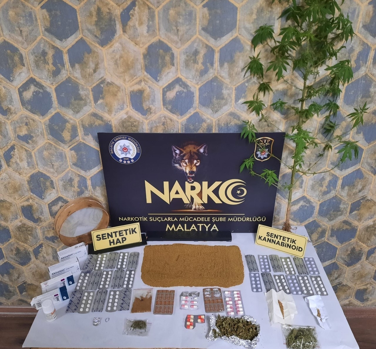 Uyuşturucu operasyonu: 9 gözaltı