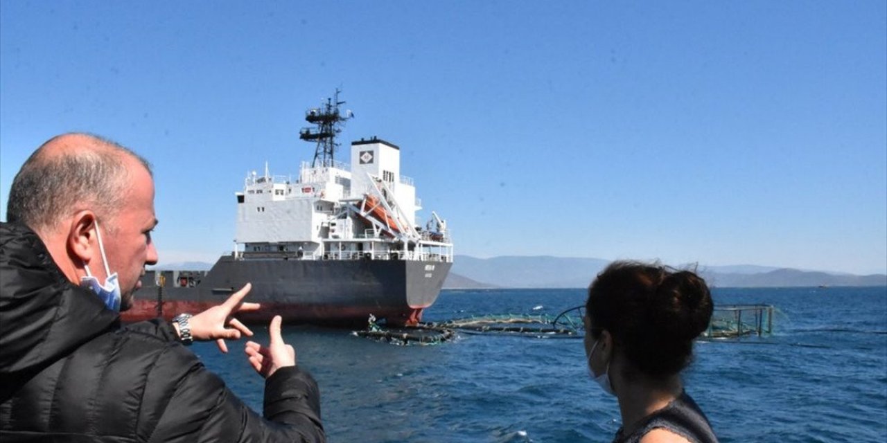 Muğla'da kuru yük gemisi balık üretim havuzuna çarptı