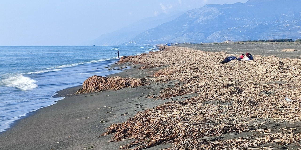 Samandağ sahilinin krizi bitmiyor