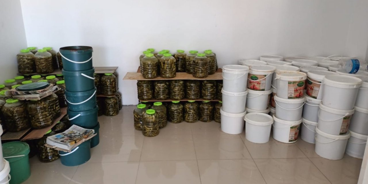 Antalya’da 7,5 ton sağlıksız gıda ele geçirildi