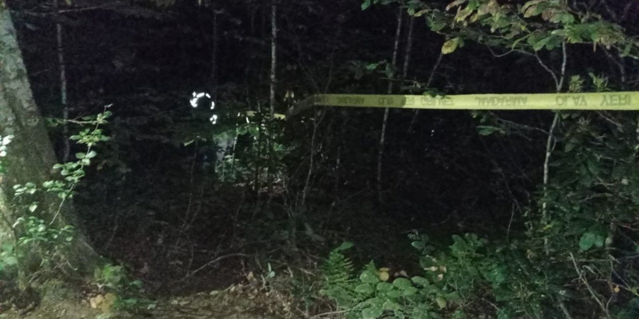 Düzce'de av sırasında yanlışlıkla yeğenini vurdu