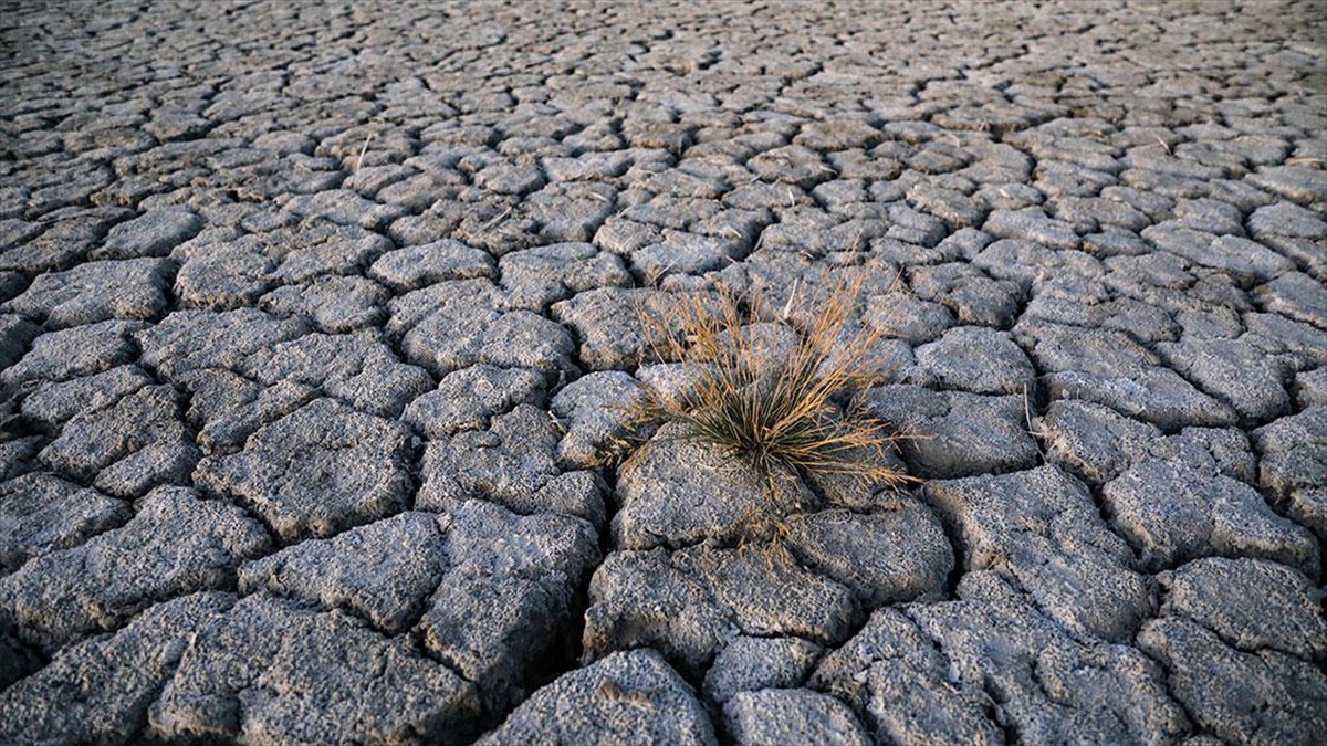İklim Değişikliğiyle Mücadelenin En Büyük Paydaşı Gençler Ve Kadınlar Olacak