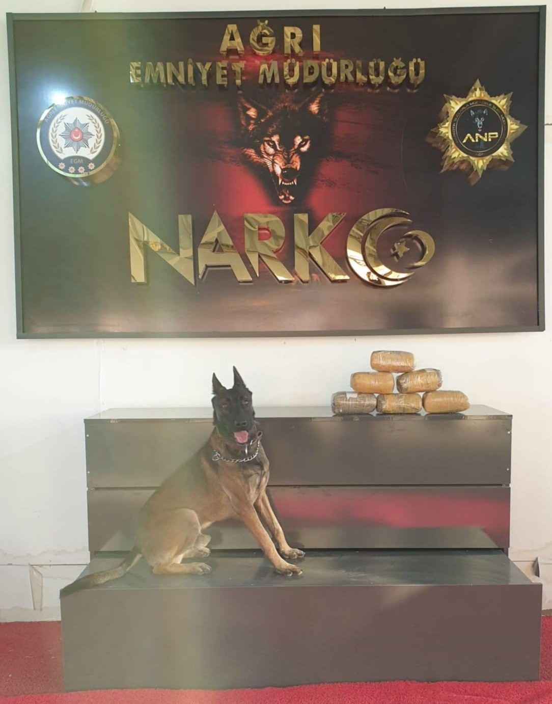 Ağrı’da 6 kilo metamfetamin maddesi ele geçirildi