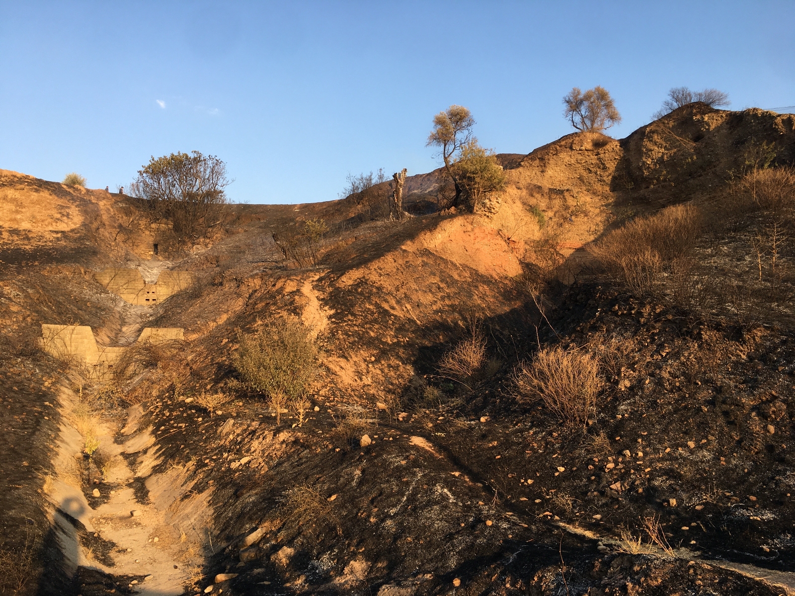 Alevler antik kente ulaşmadan söndürüldü