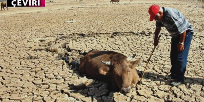 Türkiye İçin Kuraklık Uyarısı