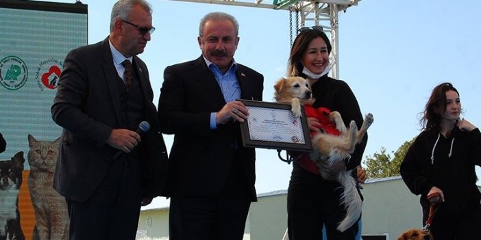 Şentop, Trakya’nın En Büyük Sokak Hayvanları Geçici Bakım Evini Açtı