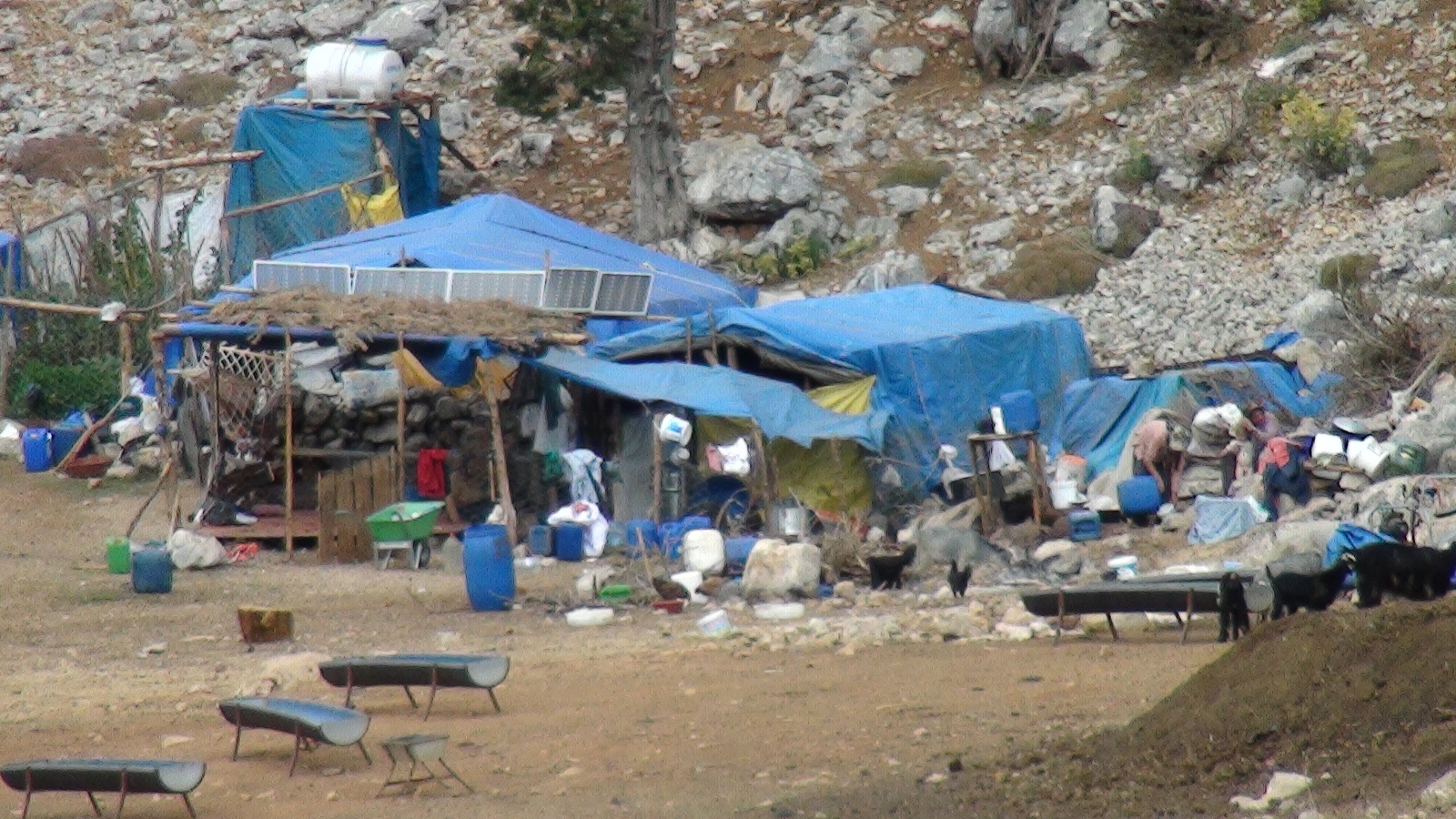 Orman yangınından etkilenen Yörükler otlakiye istiyor