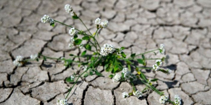 Türkiye'nin İklim Değişikliğiyle Mücadelesinde Yol Haritası 'iklim Şurası'yla Oluşturulacak