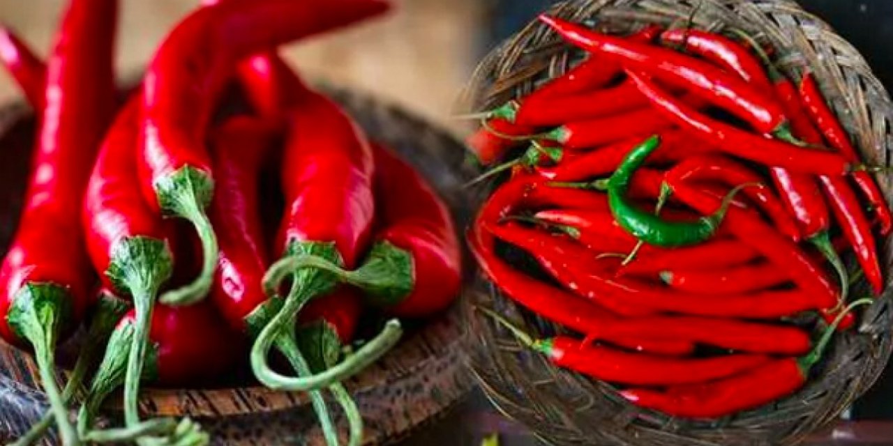 Yedikleri acı biber, Nobel Tıp Ödülü'nü kazandırdı