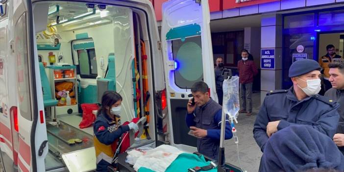 Gaziantep'te iki pitbull 4 yaşındaki kıza saldırdı