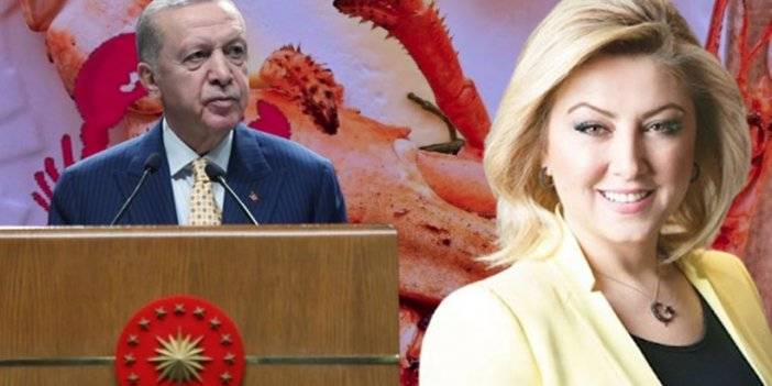 Eski metin yazarından Erdoğan'a kritik çağrı