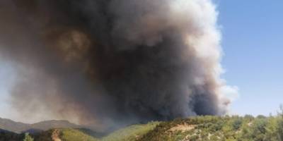 Antalya’da orman yangını