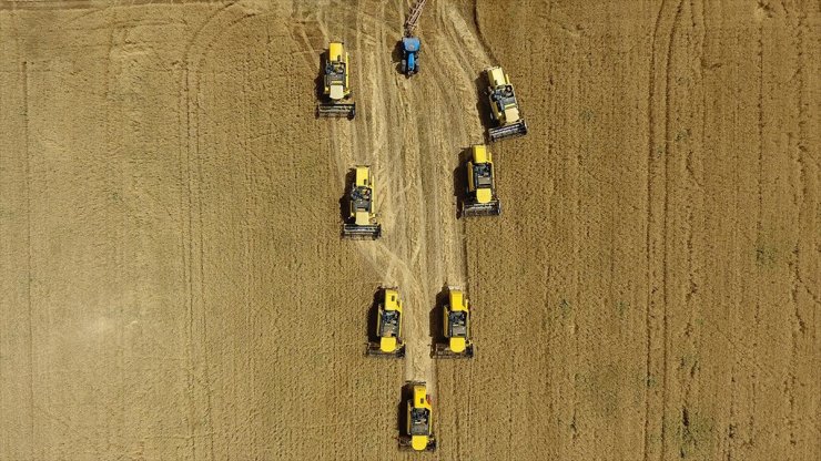 Tarımsal Desteklerde Yüzde 37 Artış Görüldü