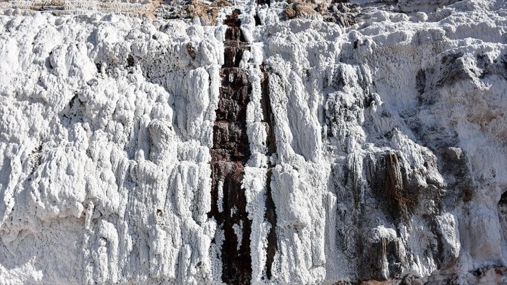 Arsenal'in de Tükettiği Delice Tuzu Birçok Ülkeden İlgi Görüyor