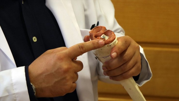 Diz Cerrahisinde Dünya Standartlarındayız