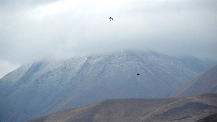 Ağrı'nın Eleşkirt İlçesindeki Kösedağ'a Mevsimin İlk Karı Yağdı