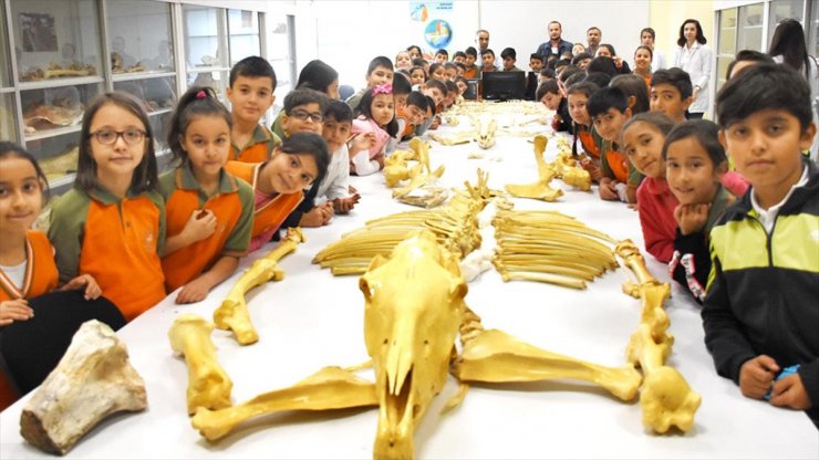 Anadolu Tarihini 7 Milyon Yıllık Fosillerin Ziyaret Ederek Öğreniyorlar