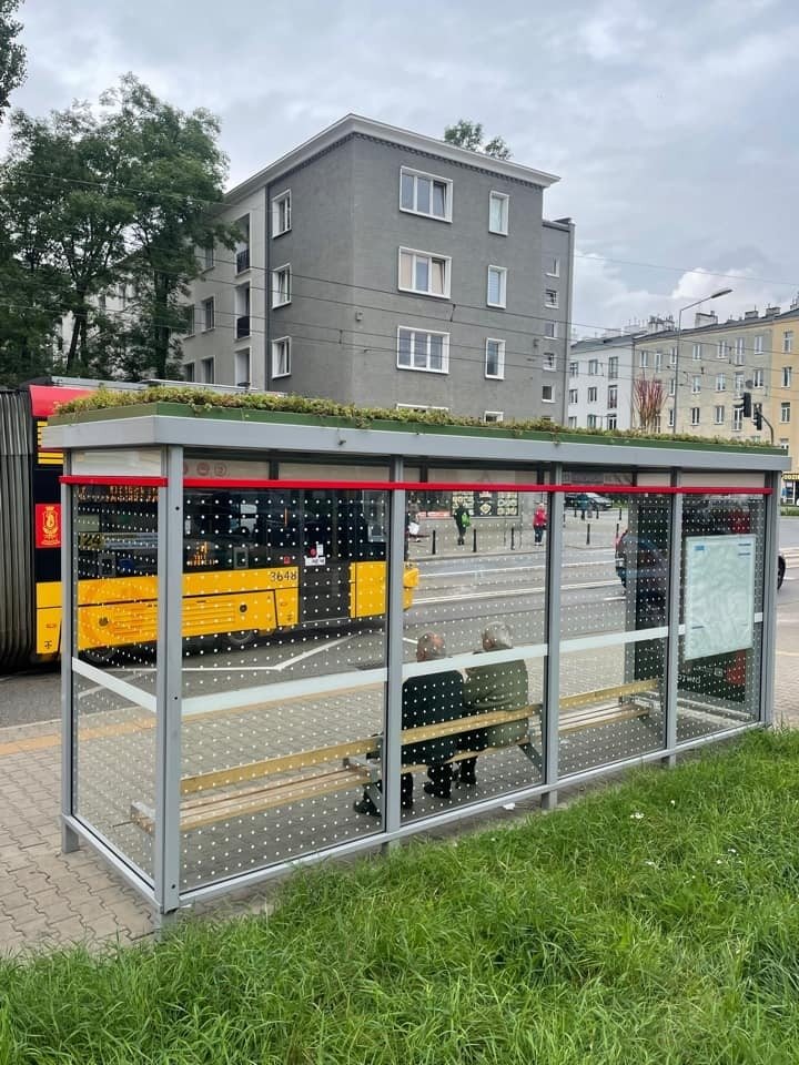 Polonya’da otobüs duraklarının çatılarına “mini bahçe” yapıldı