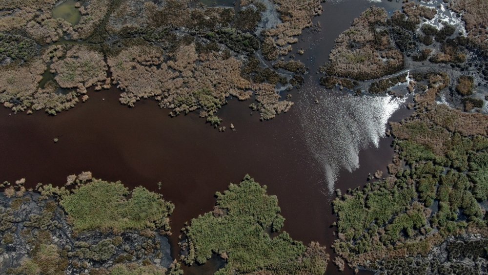 Karacabey longoz ormanlarında sonbahar güzelliği