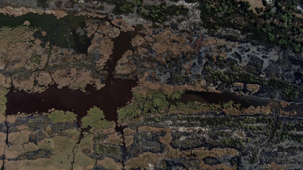 Karacabey longoz ormanlarında sonbahar güzelliği