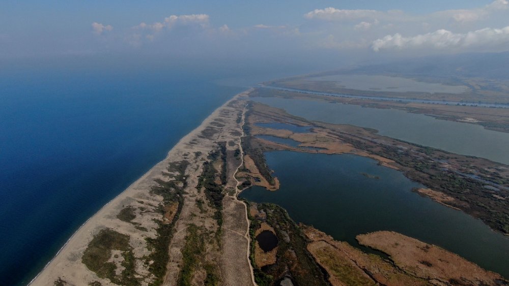Karacabey longoz ormanlarında sonbahar güzelliği