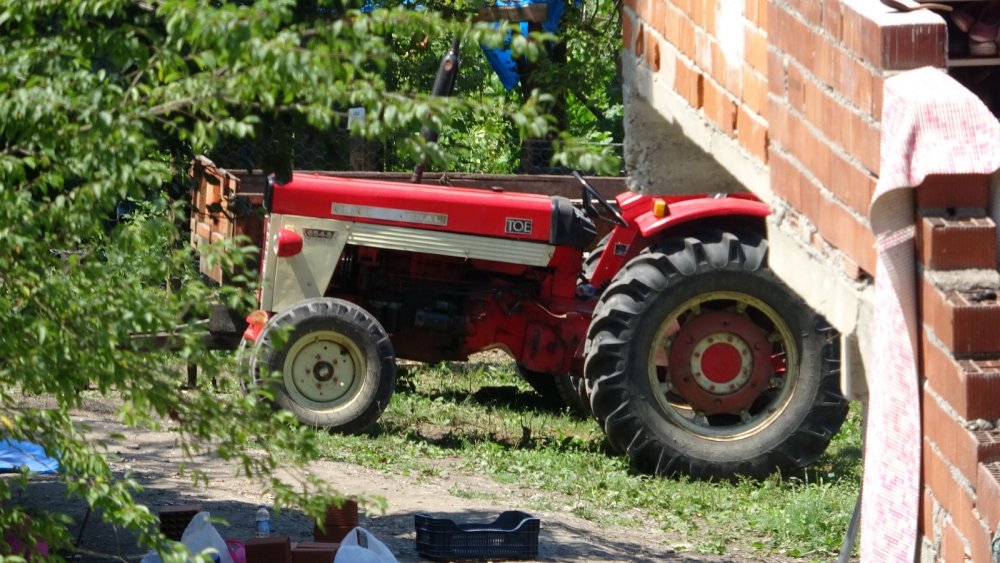 Öldürüp, ormana gömdükten sonra kan izlerini alçıyla kapatmışlar