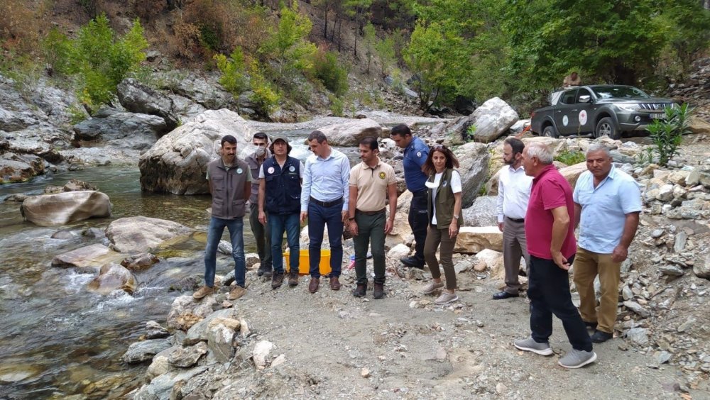 Antalya’da Alara Çayı’na 4 bin adet kırmızı benekli alabalık bırakıldı