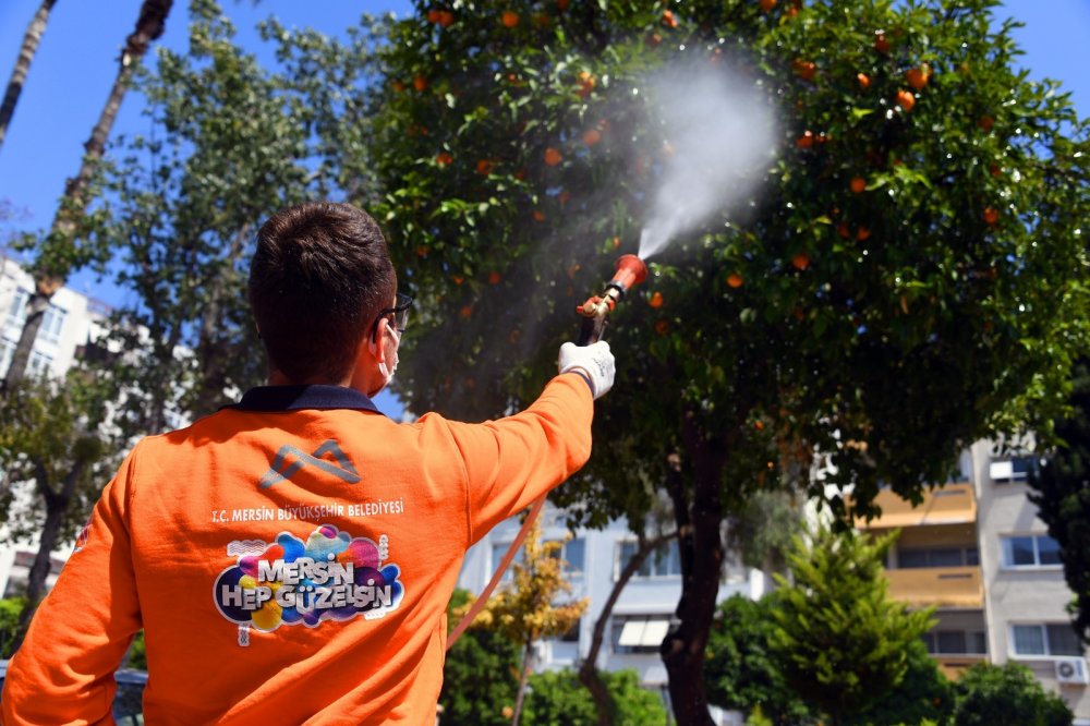 Mersin Büyükşehir Belediyesi 1 Milyon 912 Bin 220 Kez İlaçlama Yapıldı