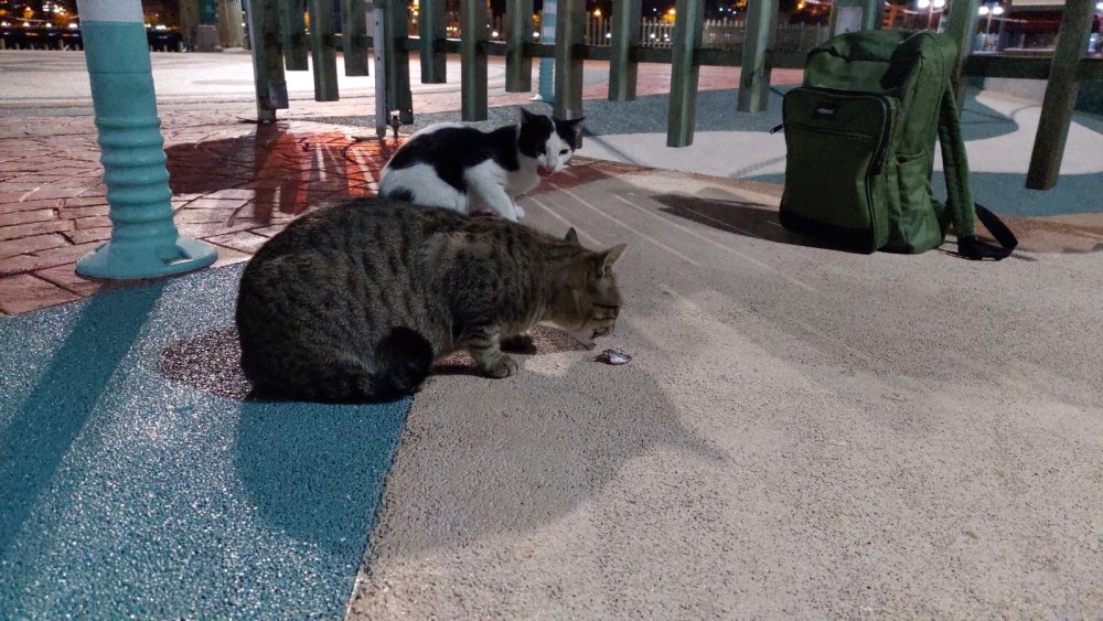 Onlar balıkçıları, balıkçılarda oltayı bekliyor