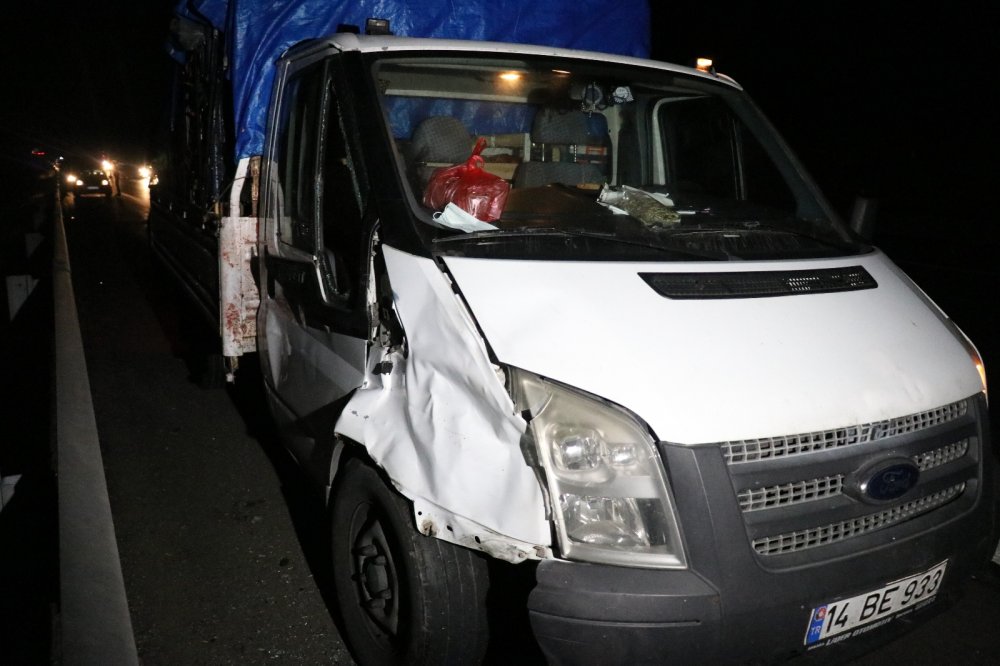 TEM’de patlayan lastiği değiştirirken kamyonetin çarptığı kardeşler öldü