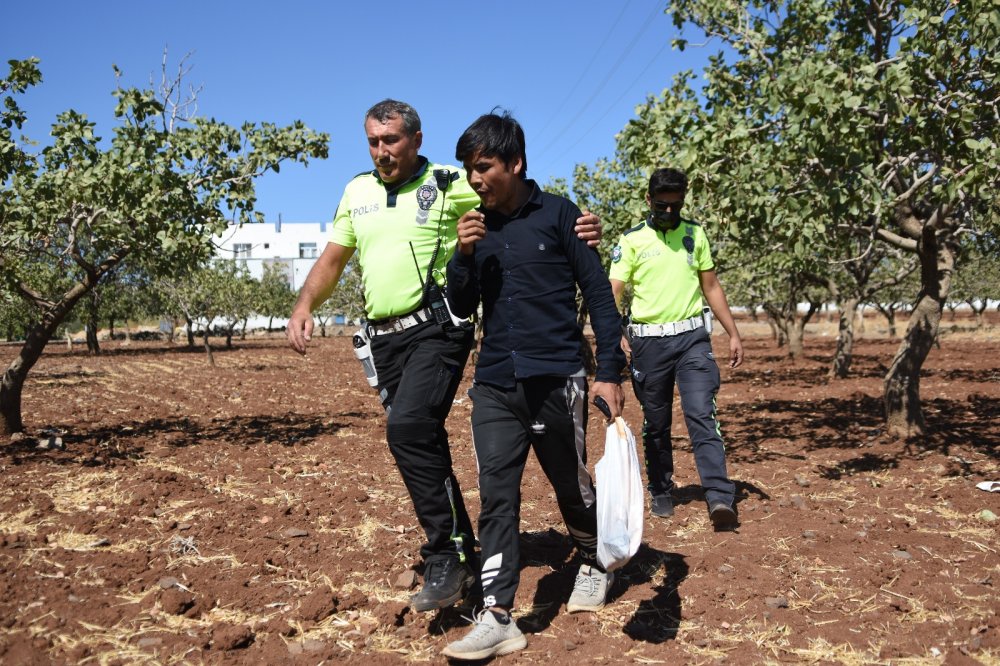 Siverek’te 17 düzensiz göçmen yakalandı