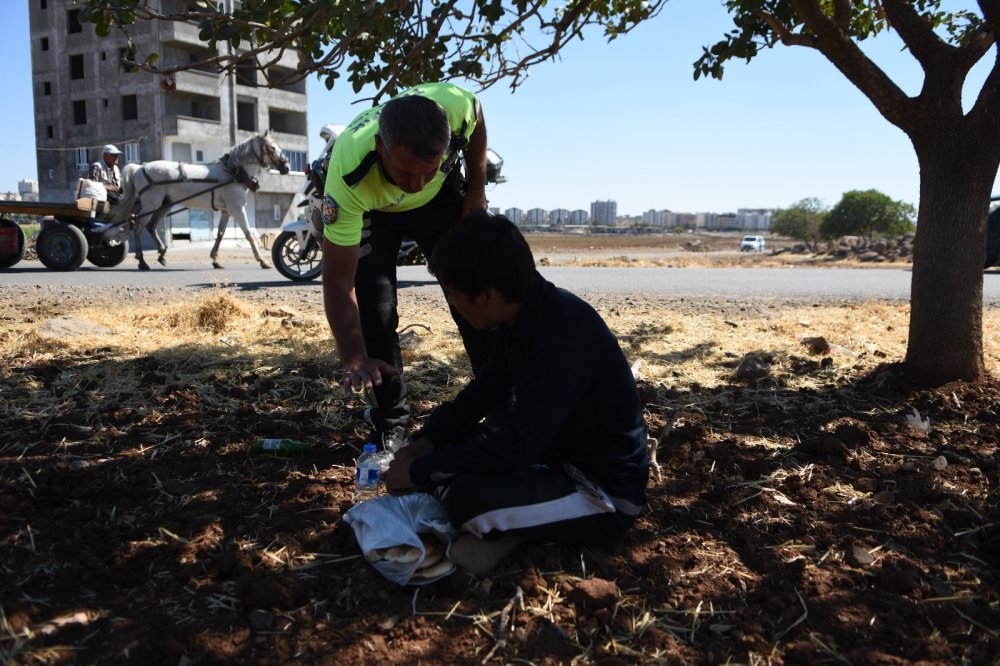 Siverek’te 17 düzensiz göçmen yakalandı