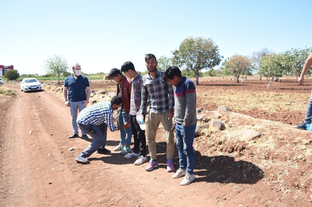 Siverek’te 17 düzensiz göçmen yakalandı