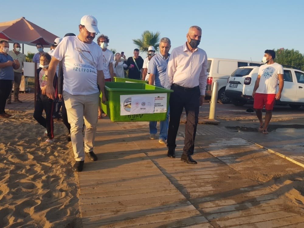 Tedavisi tamamlanan deniz kaplumbağaları yaşam alanlarına bırakıldı