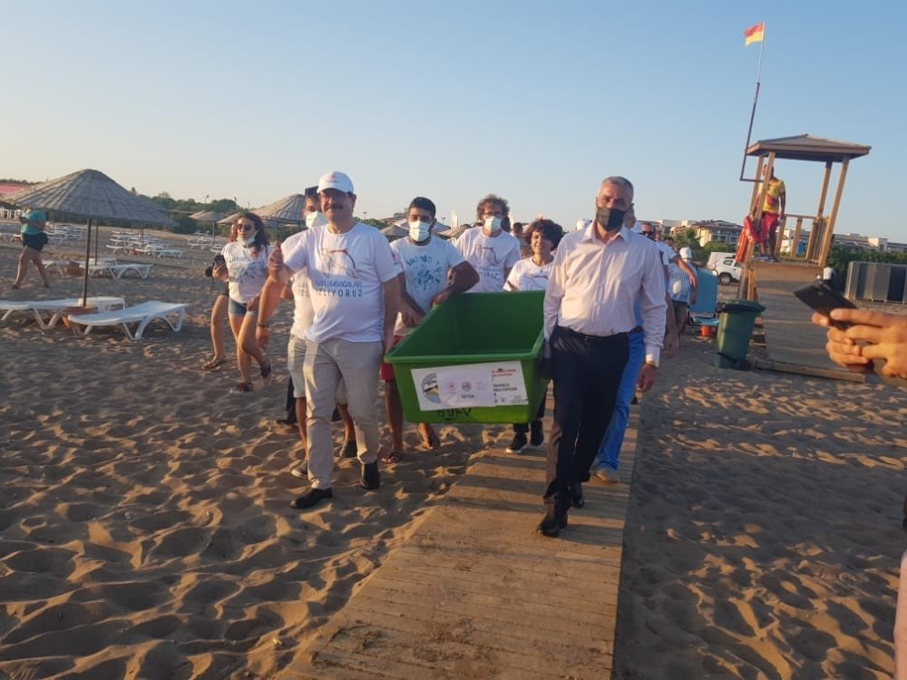 Tedavisi tamamlanan deniz kaplumbağaları yaşam alanlarına bırakıldı