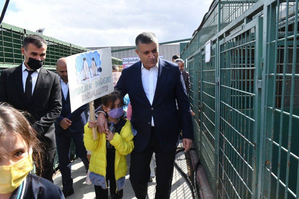 Esenyurt Belediyesi’nden hayvan haklarını koruyacak zabıta ekibi