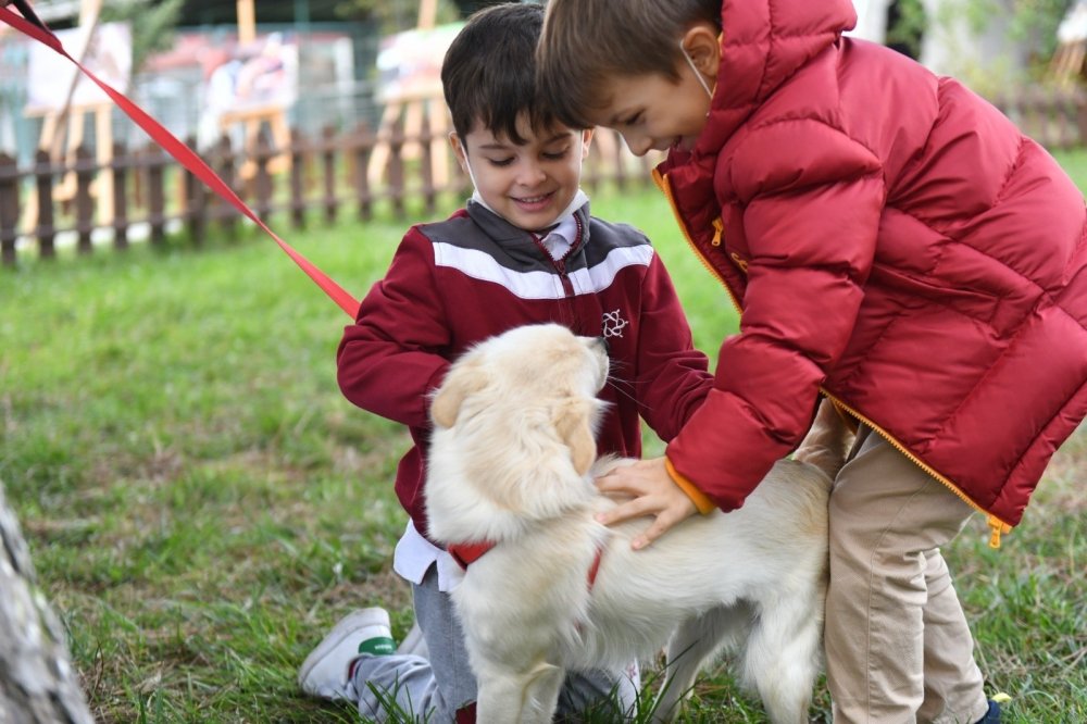 Esenyurt Belediyesi’nden hayvan haklarını koruyacak zabıta ekibi