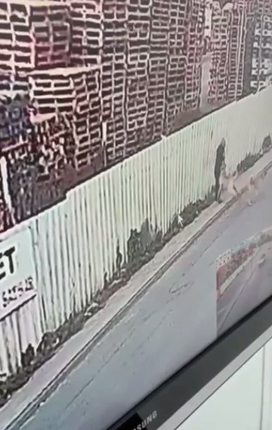 Esenyurt’ta köpek dehşeti kamerada: 2 yaralı